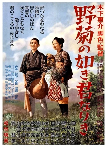 野菊之墓