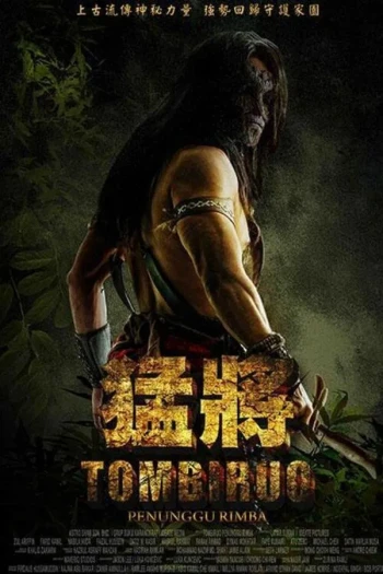 汤波热
