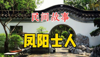 凤阳士人
