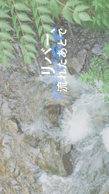 河流啊,流去何方