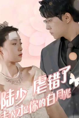陆少虐错了,夫人才是你的白月光