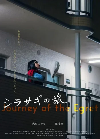 白鹭之旅