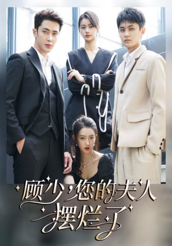 顾少,您的夫人摆烂了