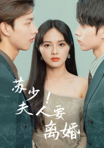 苏少!夫人要离婚