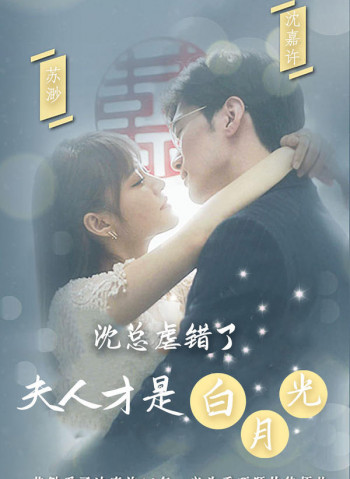沈总虐错了,夫人才是白月光