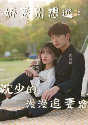 娇妻别想逃:沈少的漫漫追妻路