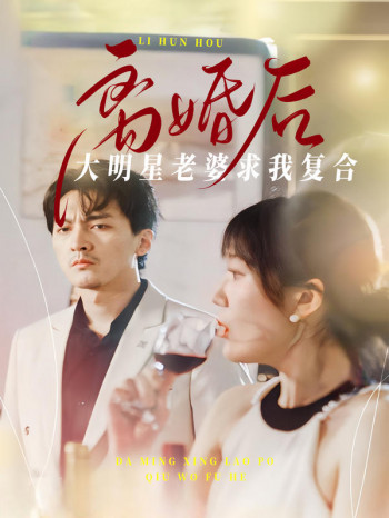 离婚后,大明星老婆求我复合