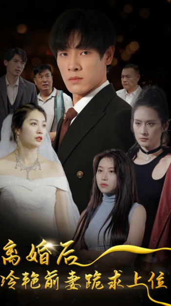 离婚后,冷艳前妻跪求上位