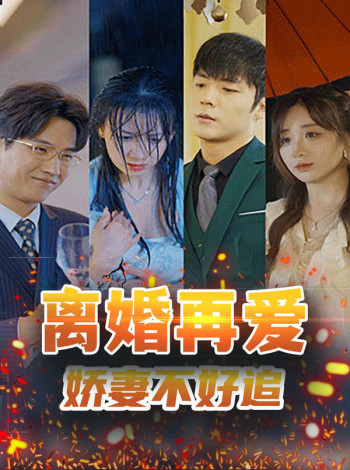 离婚再爱,娇妻不好追