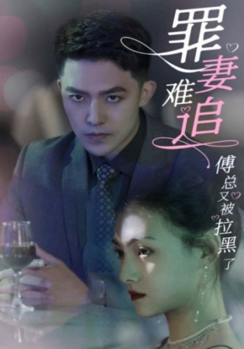 罪妻难追:傅总又被拉黑了