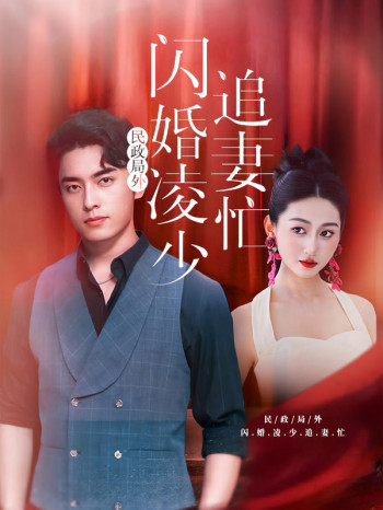 民政局外,闪婚凌少追妻忙