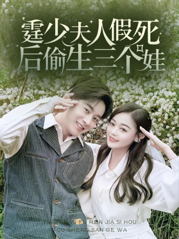 霆少,夫人假死后偷生三个娃