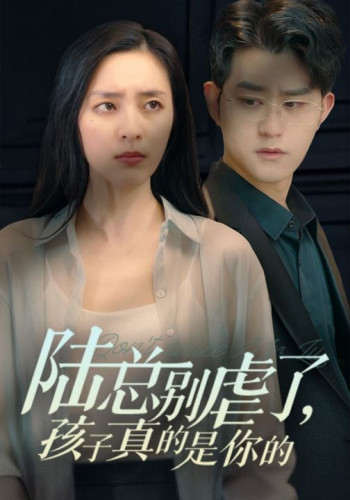 陆总别虐了,孩子真的是你的