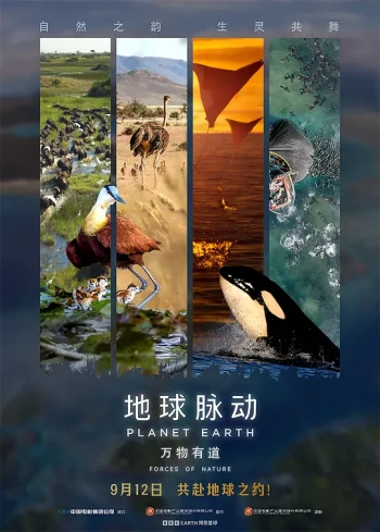 地球脉动:万物有道