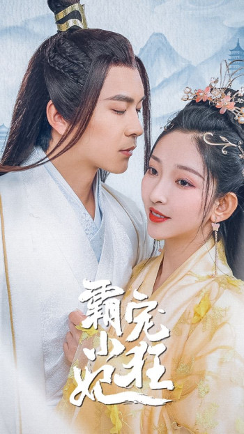 暴宠小王妃