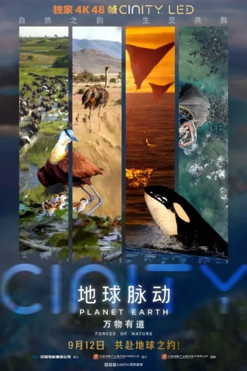 地球脉动:万物有道