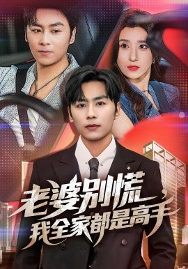 老婆别慌,我全家都是高手