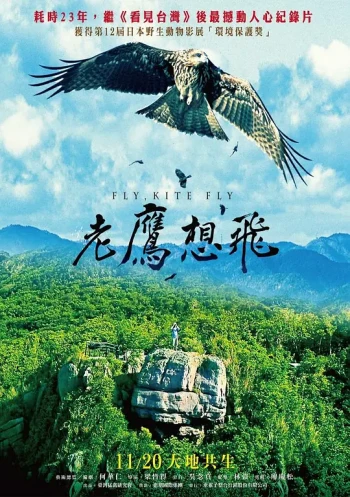 老鹰想飞