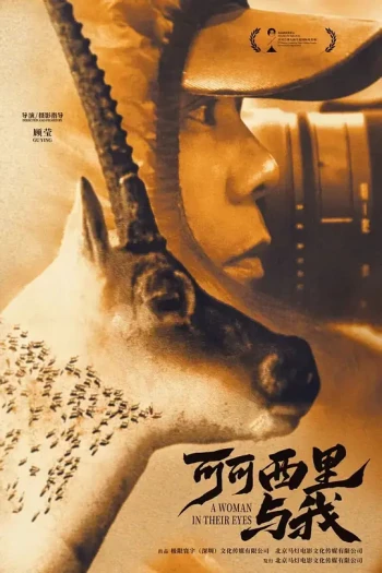 可可西里与我