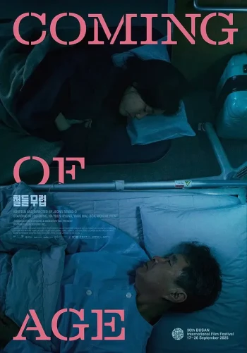 懂事之年