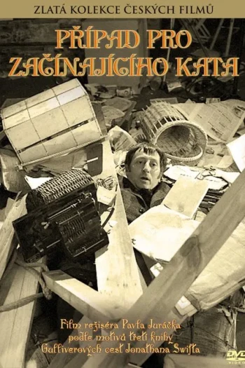 为年轻刽子手的辩护