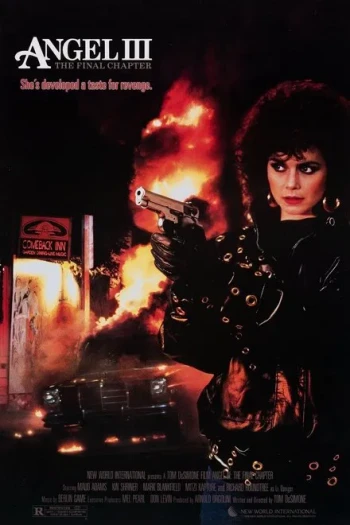 天使3:终章