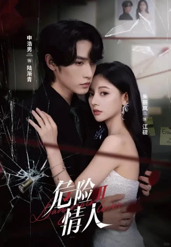 危险情人2