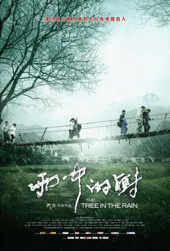 雨中的树