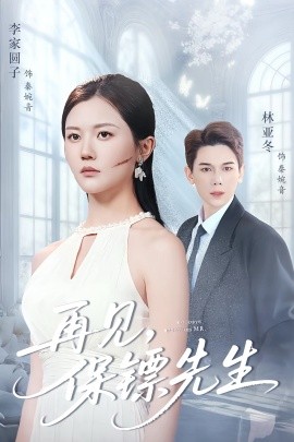 再见,保镖先生 保镖先生我不要你了