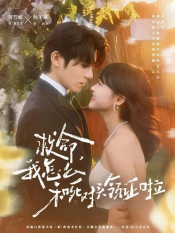 救命，我怎么和死对头领证了