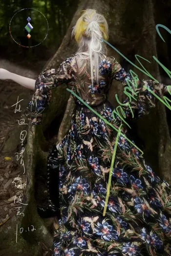 在这里请你随意