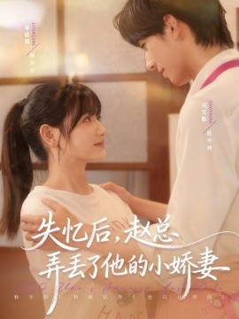 失忆后,赵总弄丢了他的小娇妻