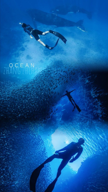 一半是土 ，一半是水