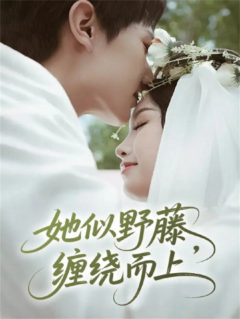 她似野藤,缠绕而上