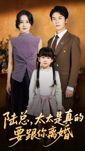 陆总,太太是真的要跟你离婚