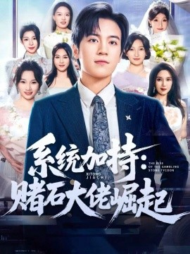 系统加持：赌石大佬崛起 少年赌神：从原石到顶流