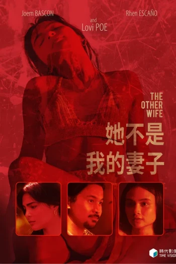 她不是我的妻子